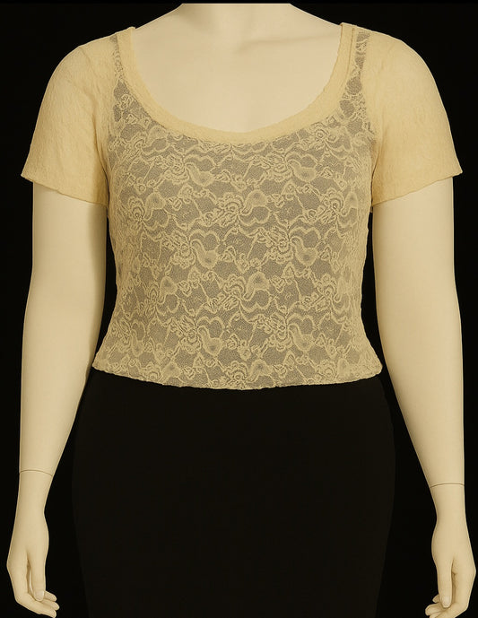 Soft Glow Sheer Lace Blouse